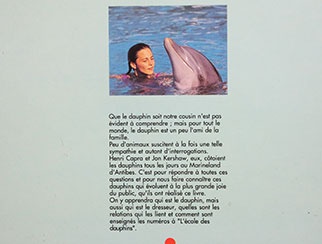 L\'école des dauphins 