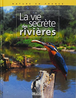 Nature en France : La vie secrète des rivières 