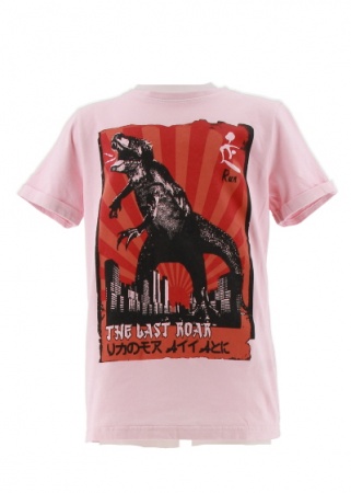 T-shirt dinosaure 11ans 