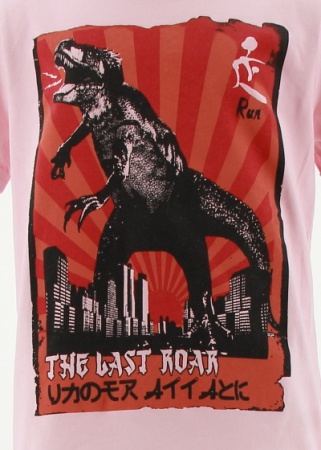 T-shirt dinosaure 11ans 